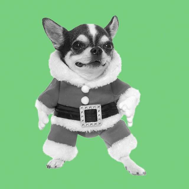 Artwork for Christmas