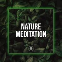 Artwork for Nature Meditation by Nature Sounds Nature Music