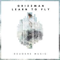 Artwork for Learn To Fly by Grizzman