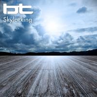 Artwork for Skylarking by BT