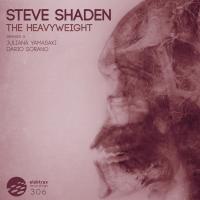 Artwork for The Heavyweight by Steve Shaden