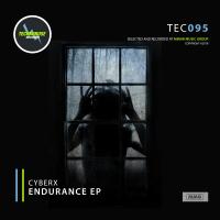 Artwork for Endurance by Cyberx