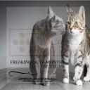 Artwork for Infection (Original Mix)