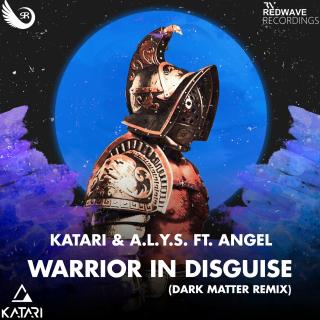 Artwork for Warrior in Disguise