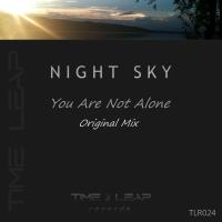 Artwork for You Are Not Alone by Night Sky