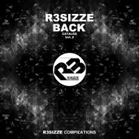 Artwork for R3sizze Back Catalog, Vol. 2 by Various Artists