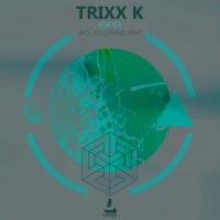 Artwork for Vortex by TrixX K