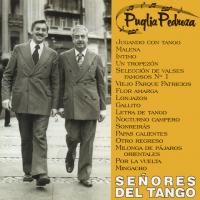 Orquesta Puglia-Pedroza