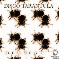 Artwork for Disco Tarantula by Dionigi