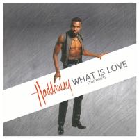 Artwork for What Is Love (The Mixes) by Haddaway