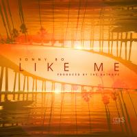 Artwork for Like Me by Sonny Bo