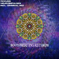 Artwork for Neuroimpulses by Rexuss