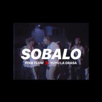 Artwork for Sobalo (feat. Yuyu la Grasa) by Pixie Flow
