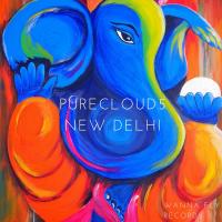 Artwork for New Delhi by Purecloud5