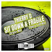 Artwork for Sit Down & fragile VIP by Thierry D