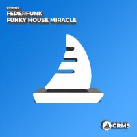 Artwork for Funky House Miracle by Federfunk