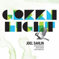 Artwork for Green Light by Joel Sahlin