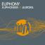Artwork for Euphonism (Original Mix)