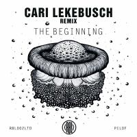 Artwork for The Beginning (Cari Lekebusch Remix) by The YellowHeads