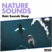 Artwork for Nature Sounds by Rain Sounds Sleep