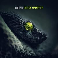 Artwork for Black Mamba by Voltage