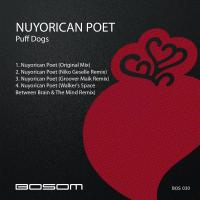 Artwork for Nuyorican Poet by Puff Dogs