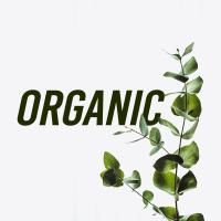 Artwork for Organic by Nature Sounds Nature Music