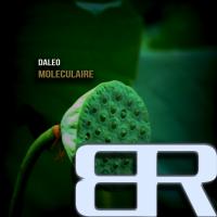 Artwork for Moleculaire by Daleo