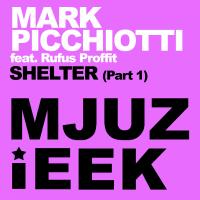 Artwork for Shelter by Mark Picchiotti