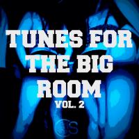 Artwork for Tunes For The Big Room, Vol. 2 by Various Artists