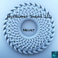 Artwork for Never by Morttimer Snerd III