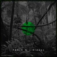 Artwork for Hidden by Pablo G.