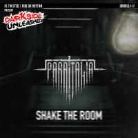 Artwork for Shake The Room by Para Italia