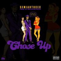 Artwork for Chose Up by Semiautocec