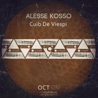 Artwork for Cuib De Viespi by Alesse Kosso