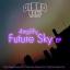 Artwork for Night Sky