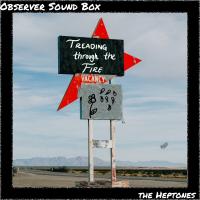Artwork for Treading Through the Fire by The Heptones