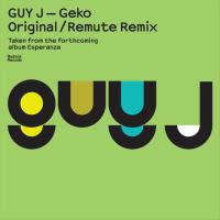 Artwork for Geko by Guy J