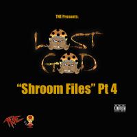 Artwork for Shroom Files, Pt. 4 by Lost God