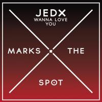 Artwork for Wanna Love You by JedX