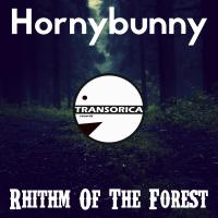 Artwork for Rhithm Of The Forest by Hornybunny