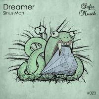 Artwork for Dreamer by Sinus Man