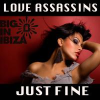 Artwork for Just Fine by Love Assassins