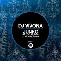 Artwork for Junko by Dj Vivona