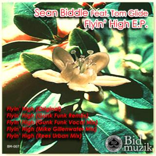 Artwork for Flyin' High (Gunk Funk Remix)