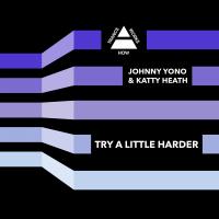 Artwork for Try A Little Harder by Johnny Yono