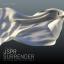 Artwork for Surrender (David Gtronic Remix)