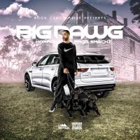 Artwork for Big Dawg by Hoffah