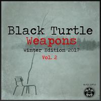 Artwork for Black Turtle Weapons Winter Edition 2017 Vol.2 by Noe Morillas