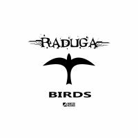 Artwork for Birds by Raduga